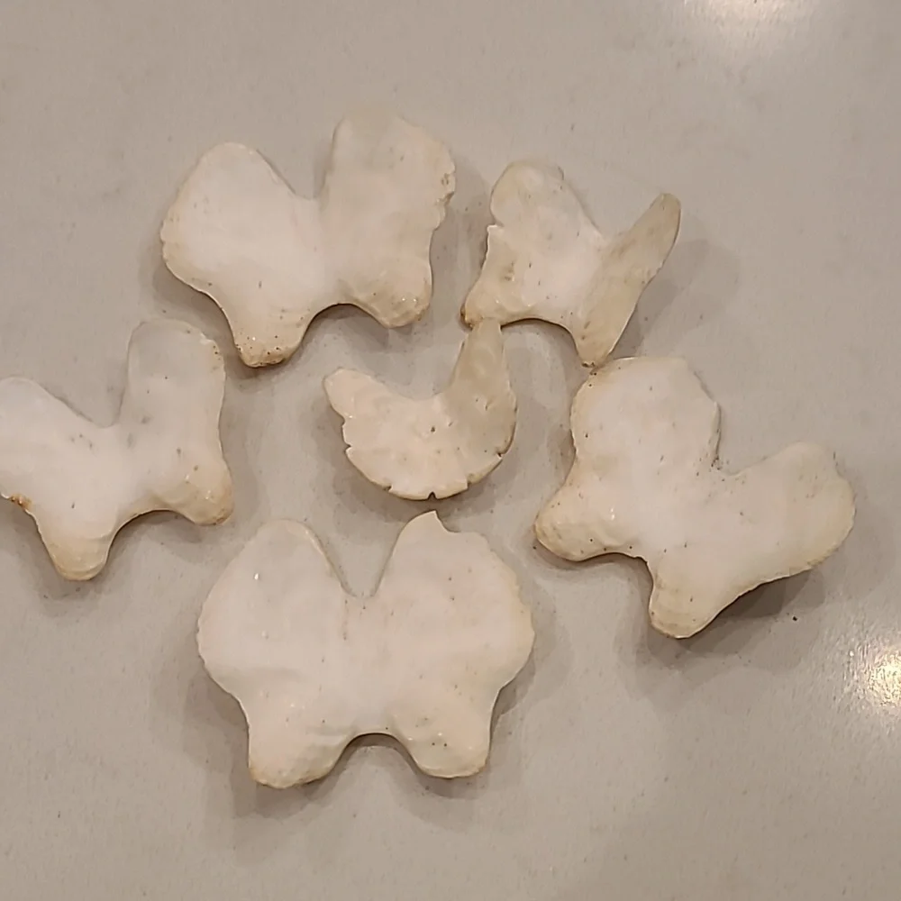 Butterfly 🦋 Shaped Craft Shells
